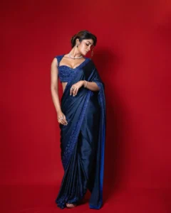 Dimple Hayathi Looks Stunning in Elegant Blue Saree During Latest Photoshoot (9)