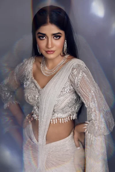 Dimple Hayathi Looks Stunning in Shimmering Designer Saree – Latest Photos (3)