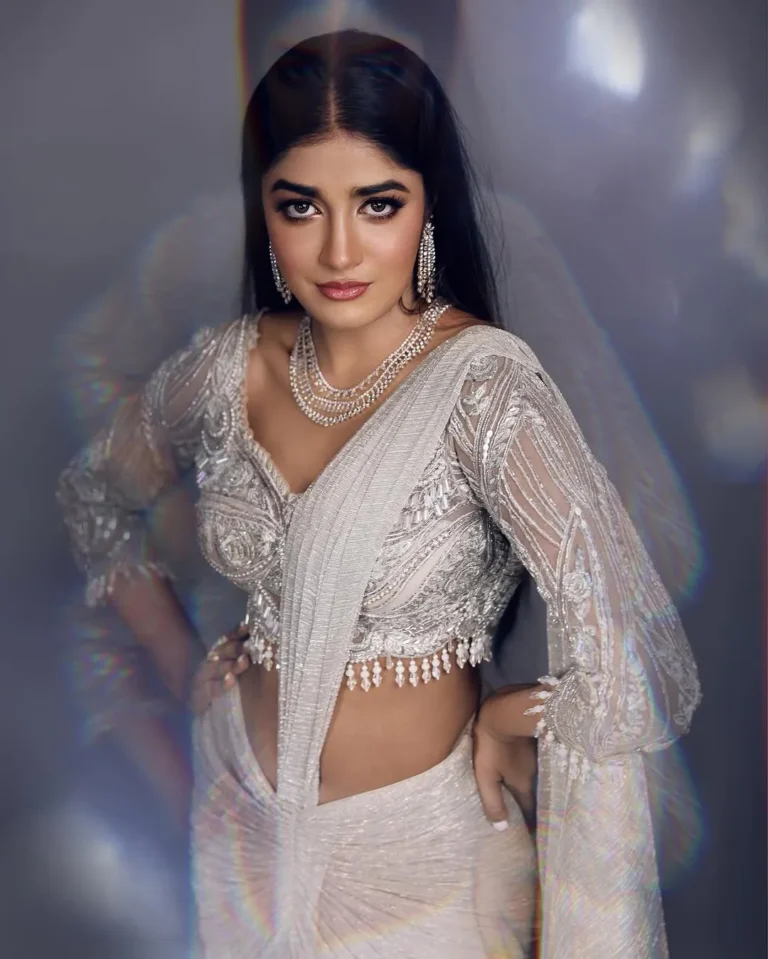 Dimple Hayathi Looks Stunning in Shimmering Designer Saree – Latest Photos (3)