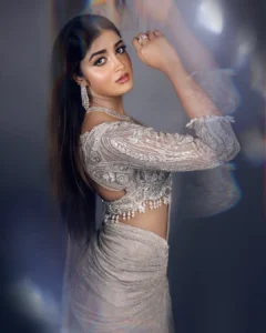 Dimple Hayathi Looks Stunning in Shimmering Designer Saree – Latest Photos (8)