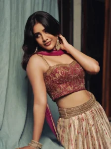 Nabha Natesh Dazzles in Glamorous Ethnic Outfit – Latest Photos (10)