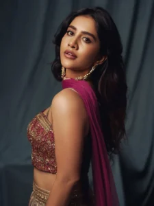 Nabha Natesh Dazzles in Glamorous Ethnic Outfit – Latest Photos (3)