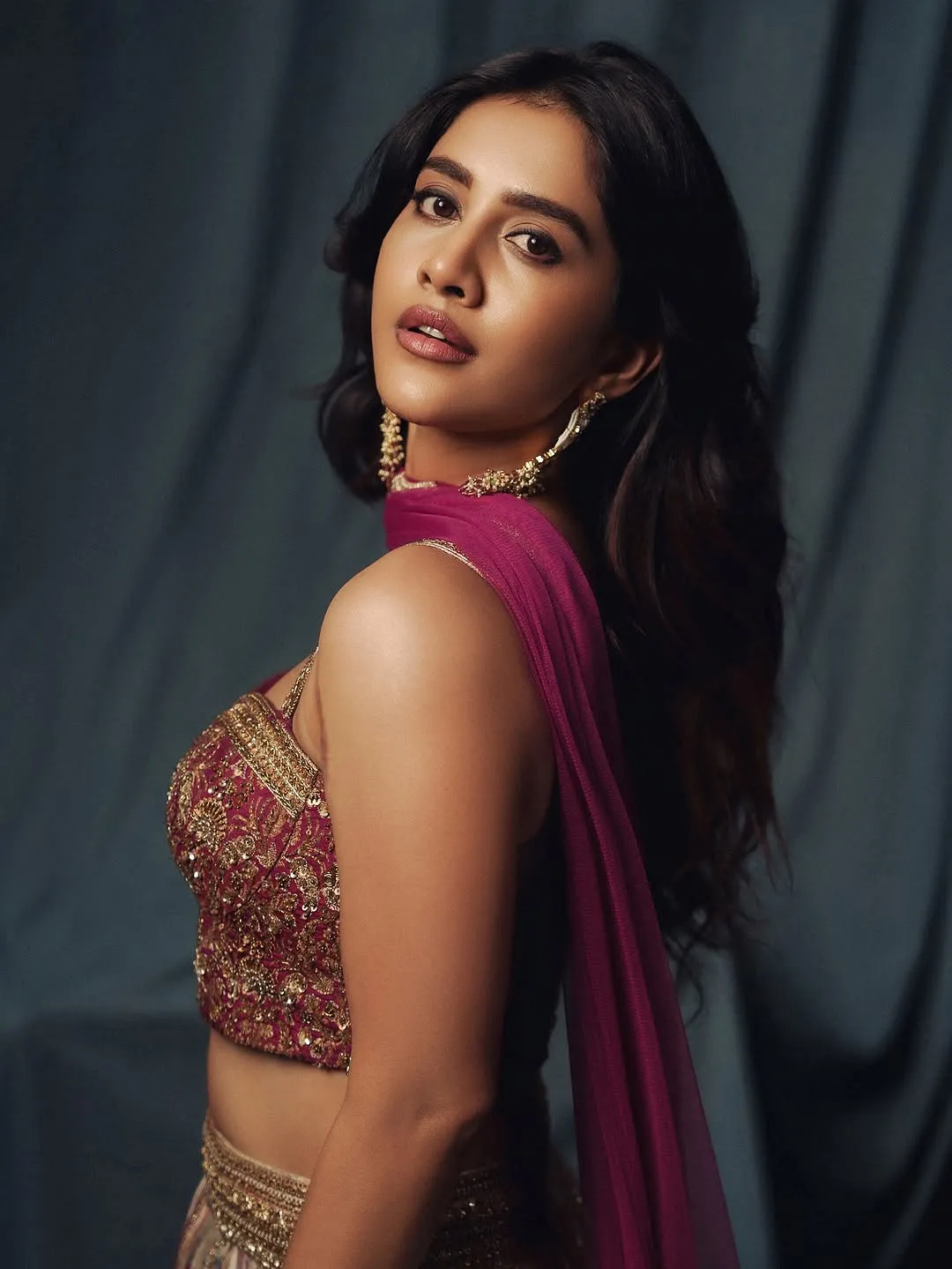 Nabha Natesh Dazzles in Glamorous Ethnic Outfit – Latest Photos (3)