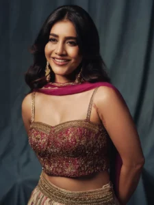 Nabha Natesh Dazzles in Glamorous Ethnic Outfit – Latest Photos (5)