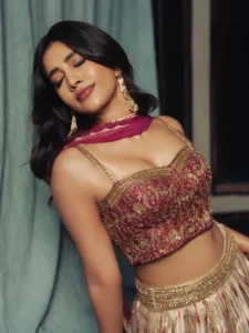 Nabha Natesh Dazzles in Glamorous Ethnic Outfit – Latest Photos (8)