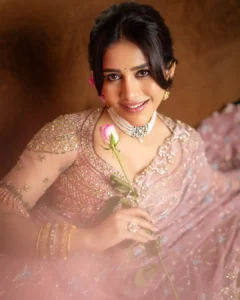 Nabha Natesh Looks Radiant in Elegant Pink Designer Saree – Latest Photos (2)