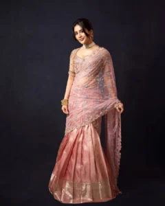 Nabha Natesh Looks Radiant in Elegant Pink Designer Saree – Latest Photos (5)
