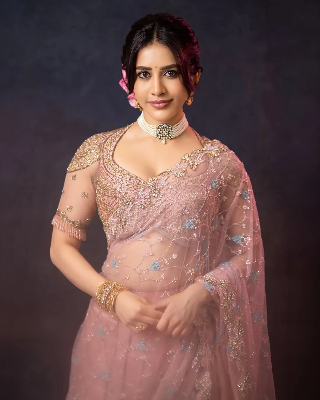 Nabha Natesh Looks Radiant in Elegant Pink Designer Saree – Latest Photos (6)