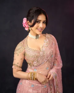 Nabha Natesh Looks Radiant in Elegant Pink Designer Saree – Latest Photos (8)