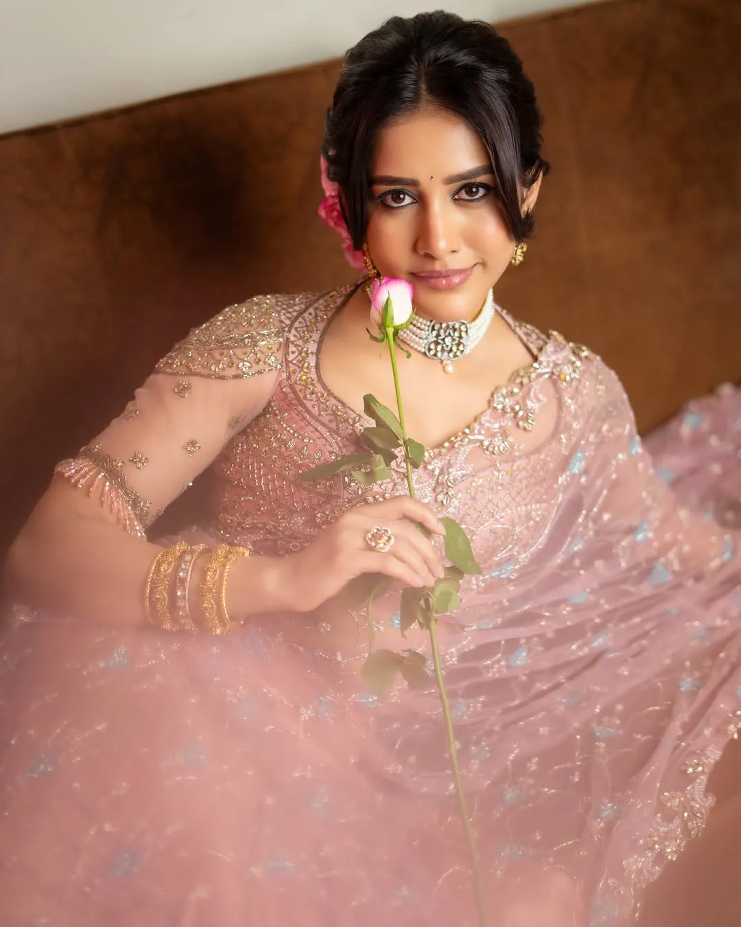 Nabha Natesh Looks Radiant in Elegant Pink Designer Saree – Latest Photos (9)