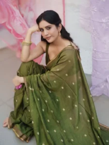 Nabha Natesh Radiates Charm in Elegant Green Saree Photos (6)