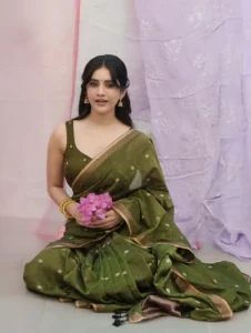 Nabha Natesh Radiates Charm in Elegant Green Saree Photos (8)