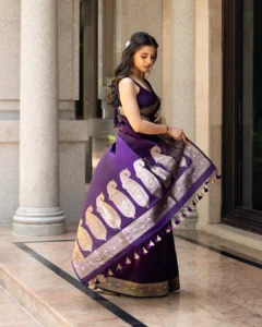 Preethi Asrani Looks Stunning in Elegant Purple Saree Photos (13)