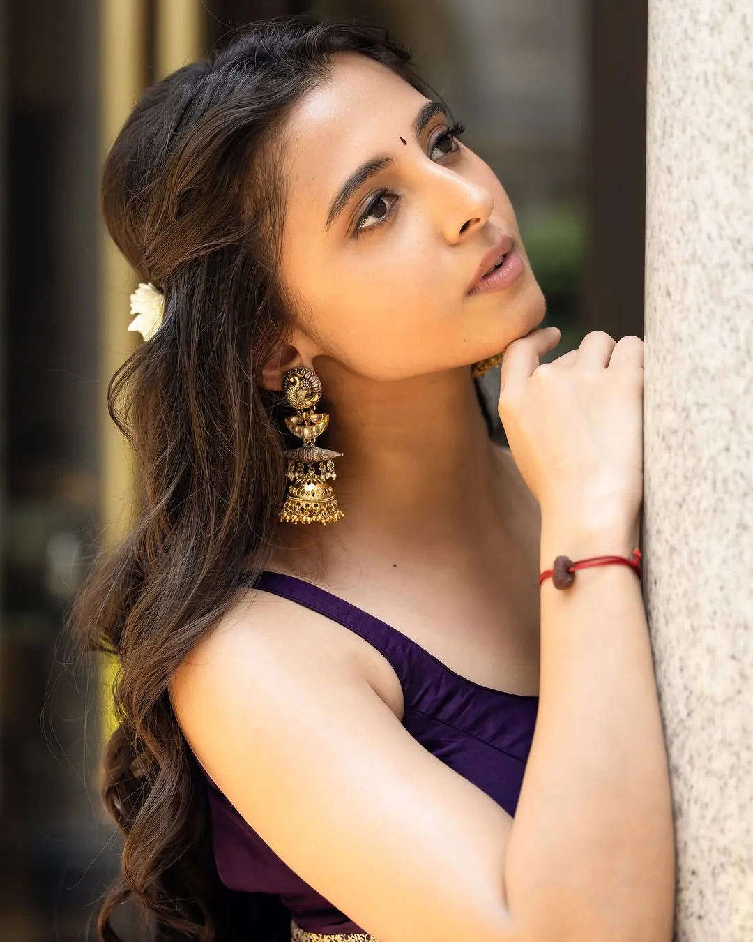 Preethi Asrani Looks Stunning in Elegant Purple Saree Photos (3)