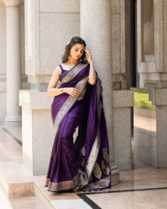 Preethi Asrani Looks Stunning in Elegant Purple Saree Photos (4)