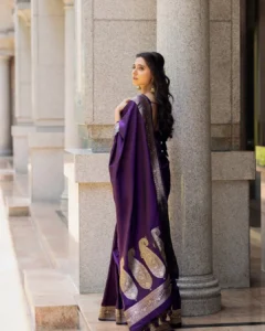 Preethi Asrani Looks Stunning in Elegant Purple Saree Photos (5)