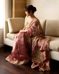Samyuktha Looks Radiant in Maroon Saree and Mirror Work Blouse Photos (10)