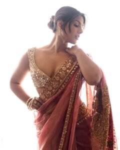Samyuktha Looks Radiant in Maroon Saree and Mirror Work Blouse Photos (2)