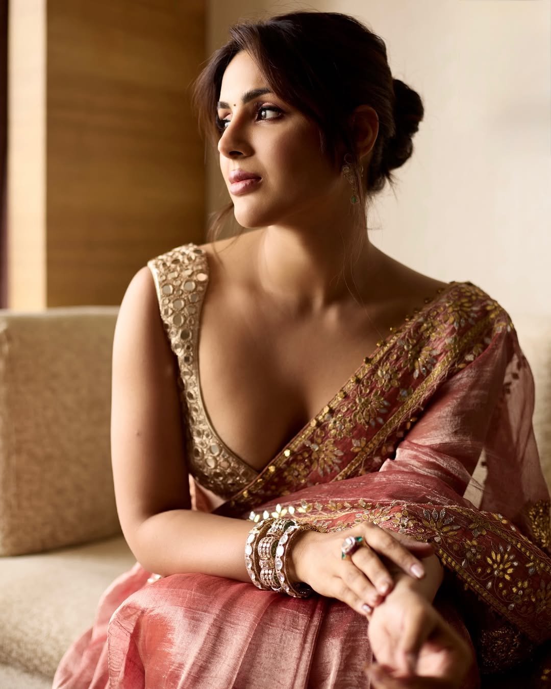 Samyuktha Looks Radiant in Maroon Saree and Mirror Work Blouse Photos (3)